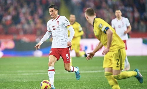 波兰亚足球队世界排名第几男足世界1 100排名